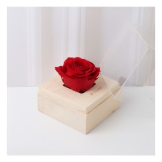Eternal Red Rose